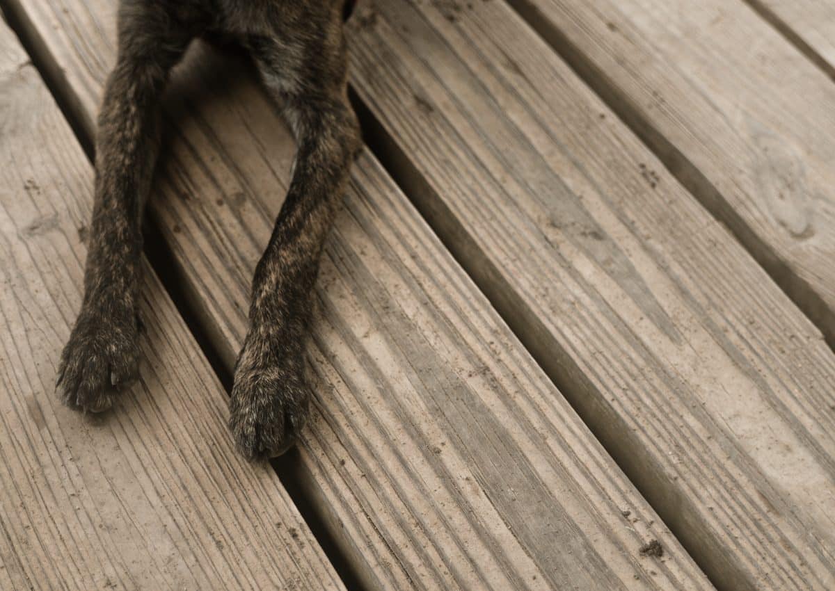 Quels sont les principes de base pour linstallation dun plancher chauffant dans une véranda